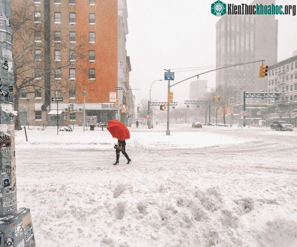 Vivienne chia sẻ rằng cô bị ám ảnh bởi cảm giác mất mát khi chứng kiến từng góc phố New York thay đổi theo thời gian bởi sự hiện đại hoá.