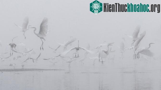 100 bức ảnh "đẹp khó tin" chưa từng qua photoshop- ảnh 18