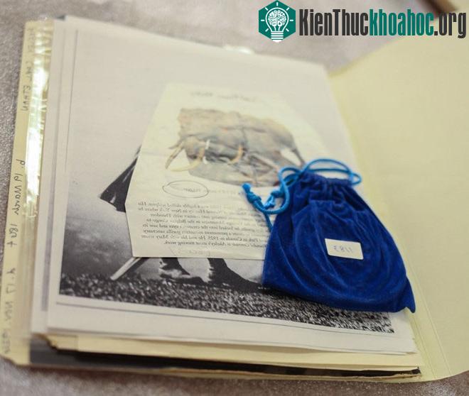 Câu lạc bộ bí mật cho các nhà thám hiểm- ảnh 18