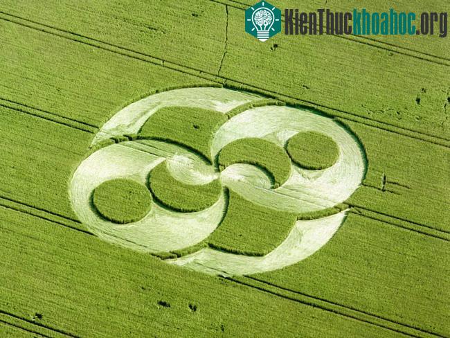 Những vòng tròn bí ẩn trên cánh đồng- ảnh 18