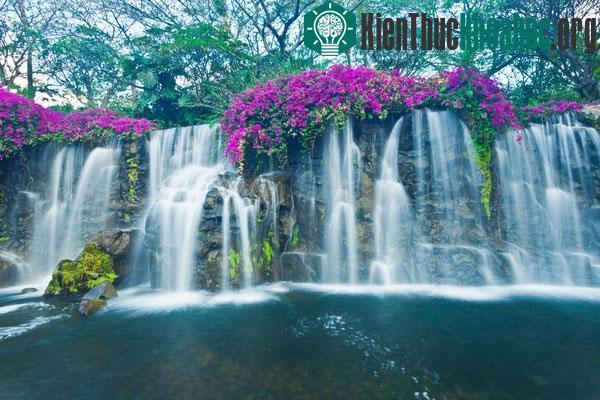 Maui, Hawaii (thuộc Mỹ)