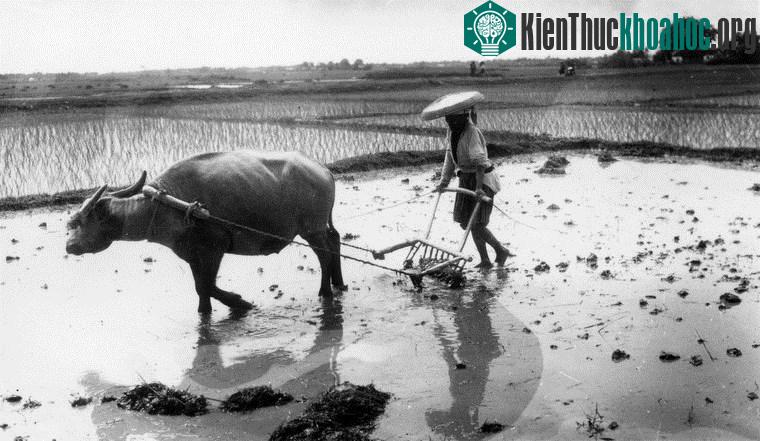Chùm ảnh đẹp quyến rũ về Hà Nội năm 1939