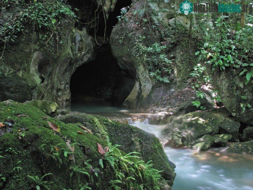 Đi vào hang Actun Tunichil Muknal ở Belize. Hang động có đầy đủ các hiện vật cổ như xương người, thậm chí có một bộ xương đầy đủ của loài người 1.000 ...