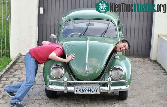Anh chàng có chiếc cổ dài ghê.