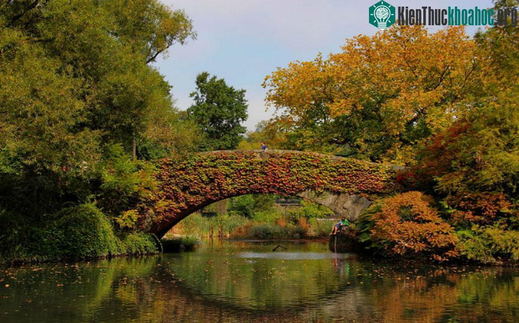 Cầu Gapstow, New York, Mỹ