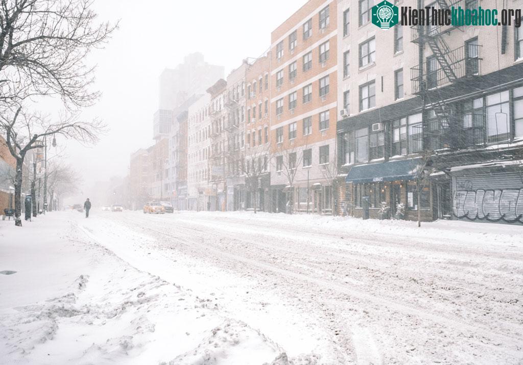 New York đối với cô là một chốn không tên. Vừa có cảm giác lạc lõng lại mang tính thân thuộc như mái nhà.