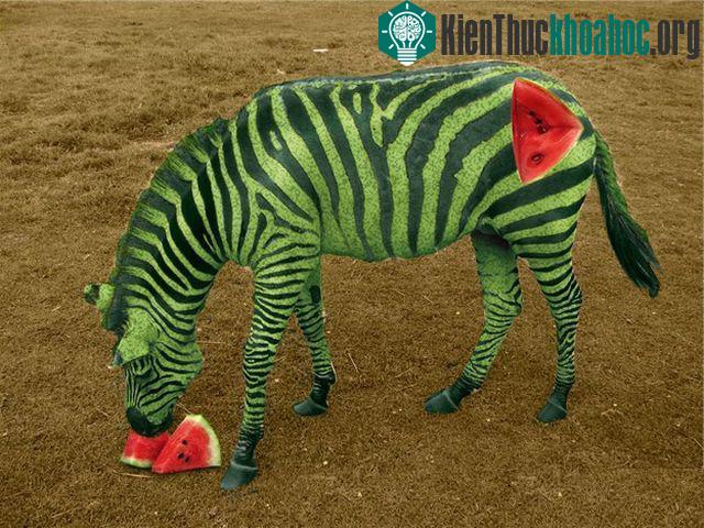 Những hình ảnh ngộ nghĩnh từ động vật và thực vật- ảnh 19