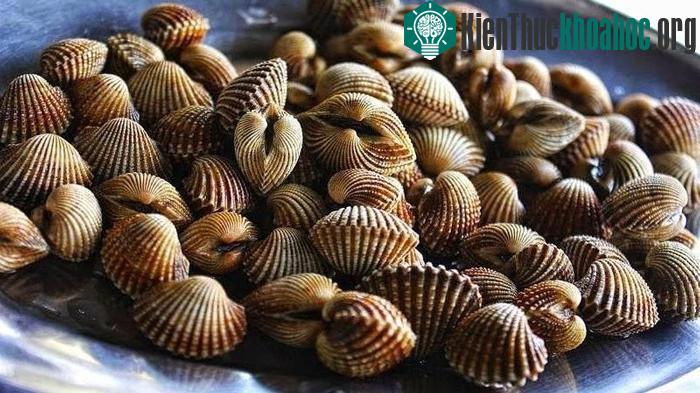 Vẻ đẹp mê hoặc trời nước đầm phá Việt Nam