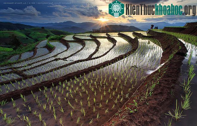 Sững sờ trước những ruộng bậc thang đẹp nhất trên khắp thế giới- ảnh 19