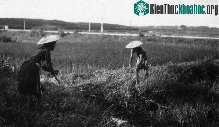 Chùm ảnh đẹp quyến rũ về Hà Nội năm 1939