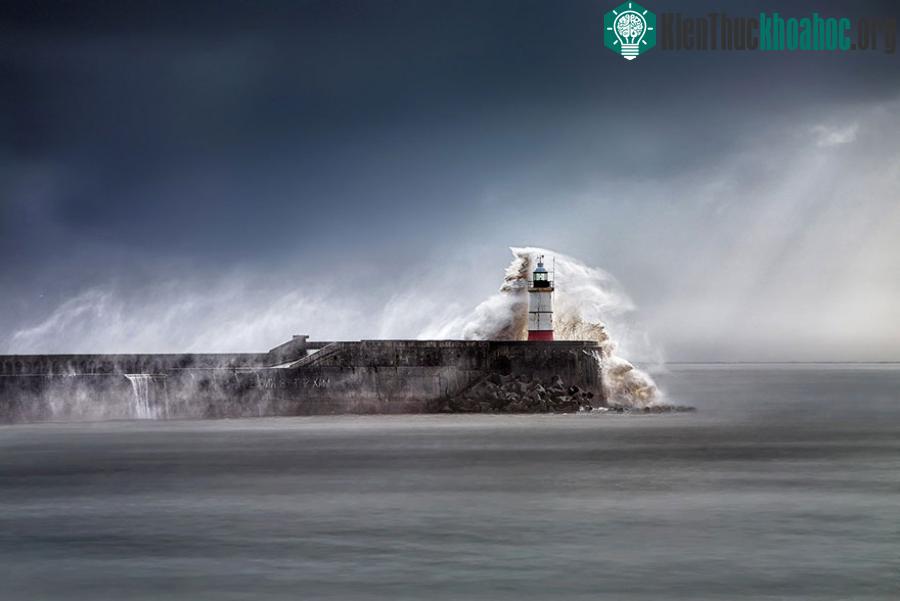 East Sussex, Anh