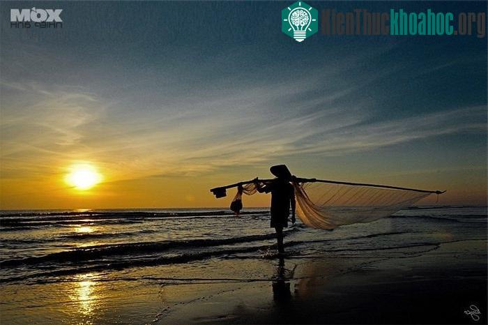 Đôi lúc lại đượm màu vàng chanh tươi mới- (Ảnh: huyco)