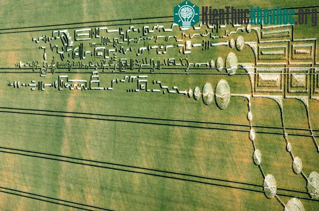 Những vòng tròn bí ẩn trên cánh đồng- ảnh 20