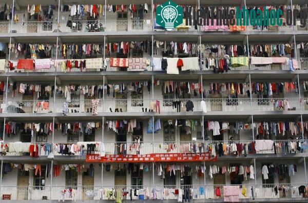 20 bức ảnh về sự đông đúc của Trung Quốc- ảnh 3