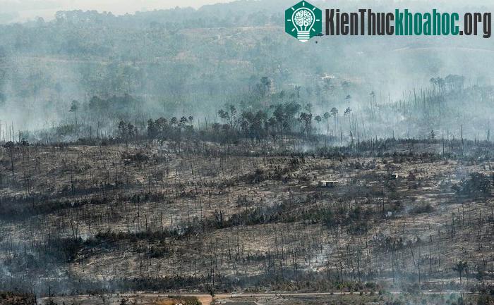 Ấn tượng trước loạt ảnh "cực đỉnh" khiến bạn phải há hốc mồm ảnh 2