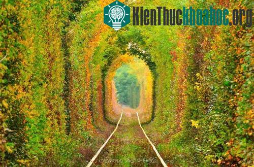 15 con đường hoa đẹp nhất thế giới- ảnh 3