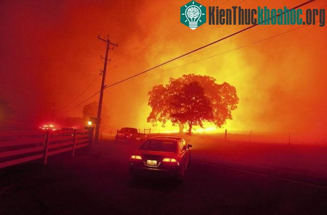 Theo các chuyên gia, hiện chưa thể xác định mối liên hệ trực tiếp một cách chính xác giữa biến đổi khí hậu và cháy rừng. Tuy nhiên, họ tin rằng sự gia tăng các vụ cháy rừng ở miền tây nước Mỹ một p...