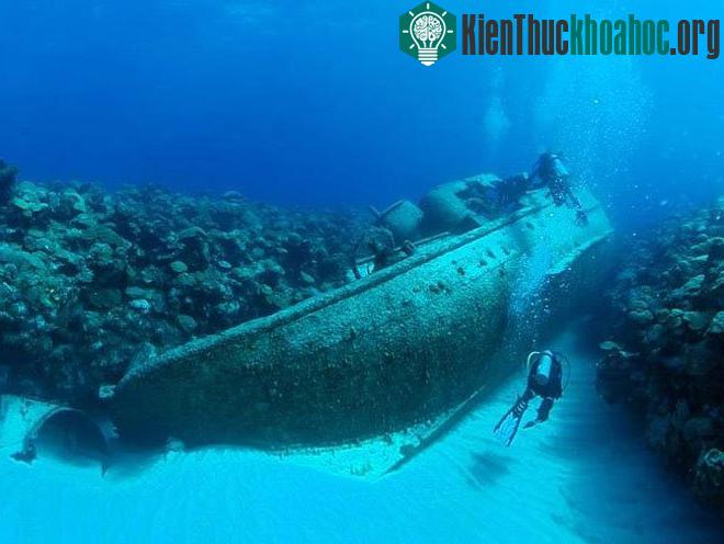 Hải lưu Gulf Stream (hay dòng Vịnh) là một hải lưu mạnh, ấm và chảy nhanh ở Đại Tây Dương. Hoạt động của dòng Vịnh được cho là có thể "hút" các con tàu lớn về phía rạn hô cạn, hay là nguy...