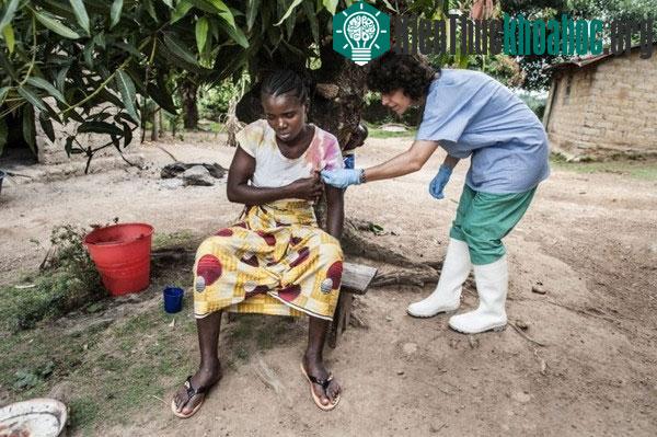 Hành trình virus Ebola phá hoại cơ thể người trong bộ hình ám ảnh- ảnh 3
