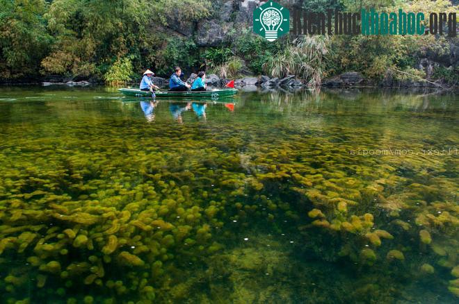 Giá trị thẩm mỹ: Cảnh quan tháp karst của Tràng An chứa đựng những cảnh quan thiên nhiên tuyệt đẹp với những ngọn núi hùng vĩ, hang động huyền bí, sông nước thanh tĩnh, điểm xuyết với những đền, ch...