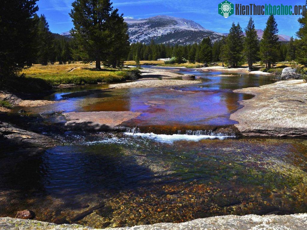 Đi bộ ở công viên Pacific Crest Trail thông qua 3 bang của nước Mỹ: California, Oregon, và Washington. Đường mòn dài 4264km, nhưng bạn không cần phải đi hết cùng một lúc.