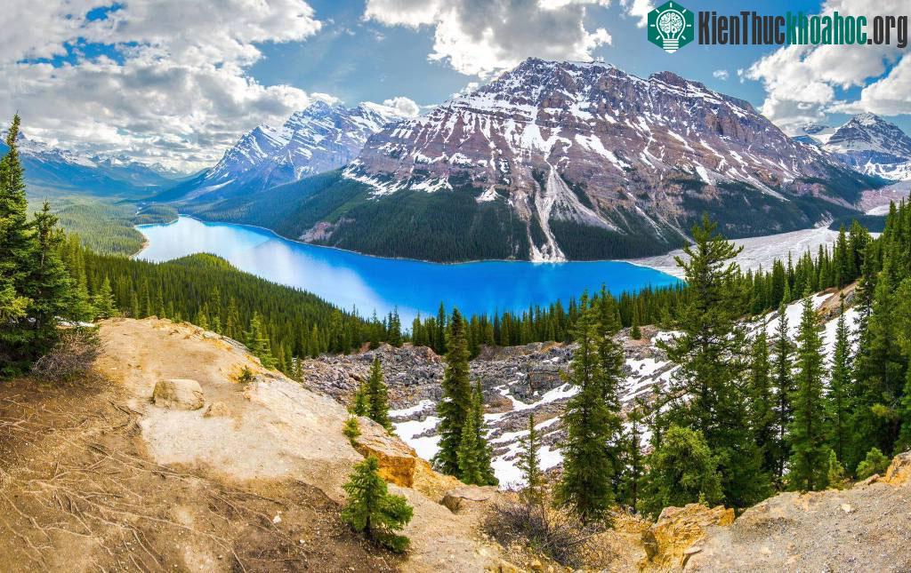 Hồ Peyto (Canada)