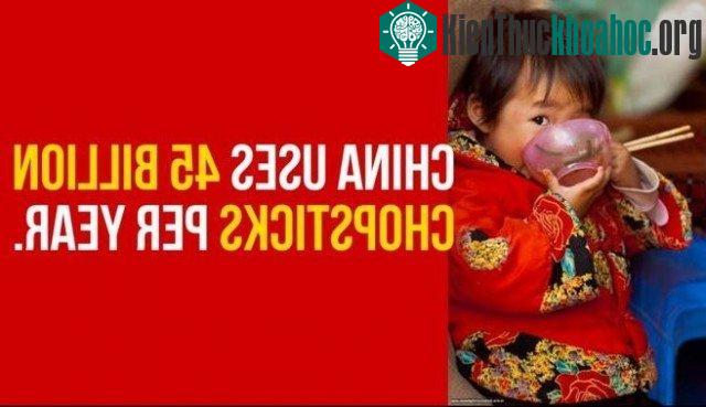 Trung Quốc sử dụng 45 tỷ đôi đũa mỗi năm.