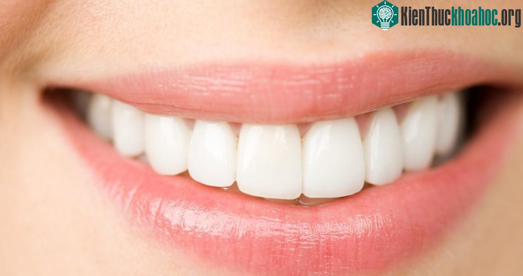 Bí ẩn cơ thể con người