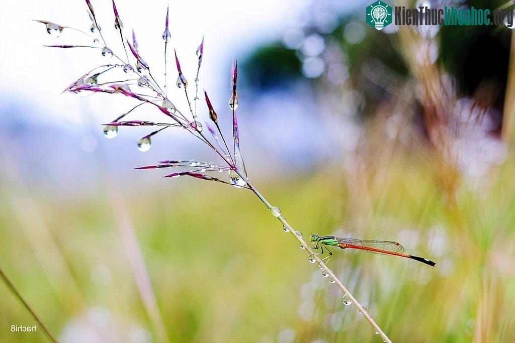 Mẫu Sơn rất thích hợp cho những chuyến đi ngắn ngày cuối tuần với nhóm bạn hoặc gia đình.