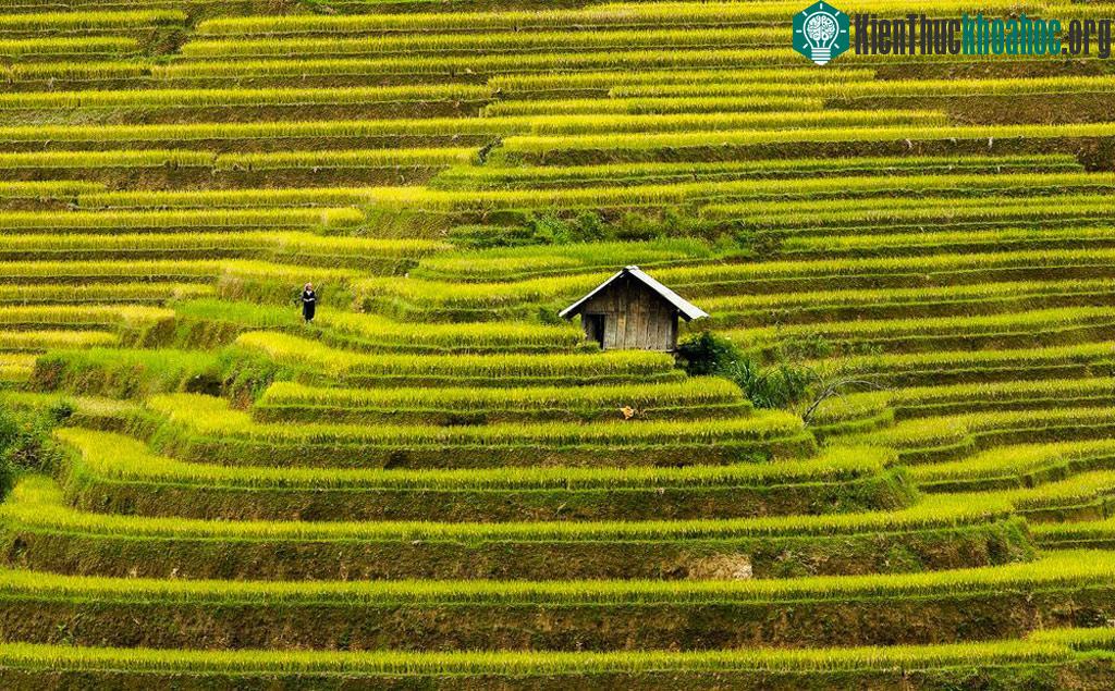 Cảnh vật độc đáo và bí ẩn trên toàn thế giới ảnh 2