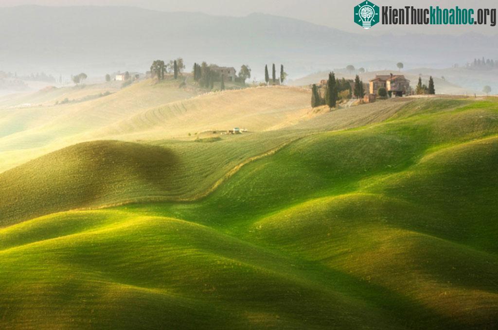 Rượu vang là một sản phẩm nổi tiếng và phổ biến của Tuscany. Vì vậy nhiều khách du lịch đến đây để được tận hưởng ly rượu vang nổi tiếng.
