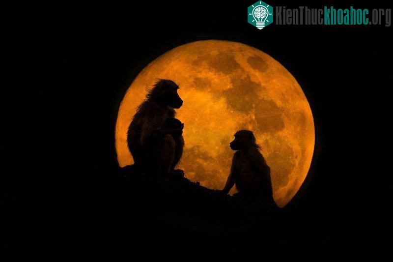 Bộ sưu tập ảnh về mặt trăng siêu đẹp ảnh 2