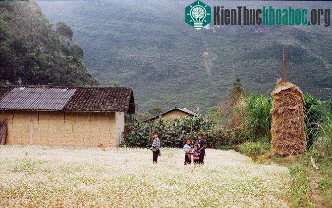 Nắng dát vàng Hà Giang những ngày đầu đông