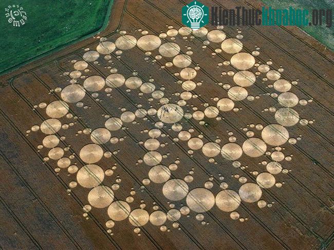 Những vòng tròn bí ẩn trên cánh đồng- ảnh 3