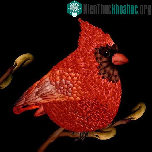 Ảnh nghệ thuật tuyệt đẹp từ người mẫu khỏa thân ảnh 2