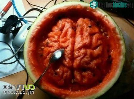 Tạo hình thú vị trên dưa hấu bằng thìa ảnh 2