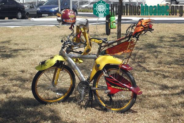 Xe đạp dành cho dân chơi thứ thiệt.