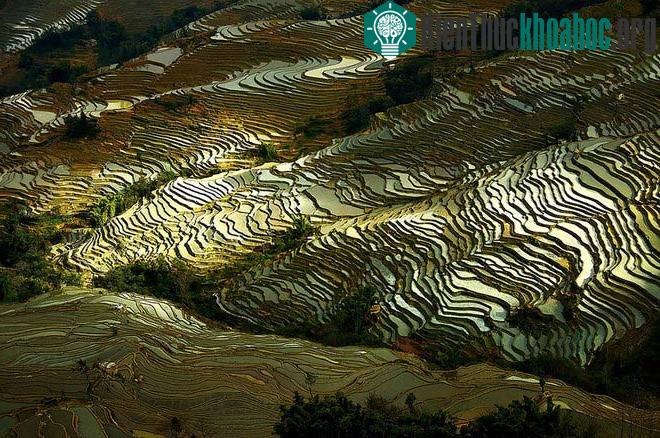 Sững sờ trước những ruộng bậc thang đẹp nhất trên khắp thế giới- ảnh 21