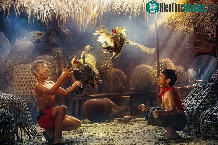 Cuộc sống yên bình nơi làng quê Việt ảnh 22