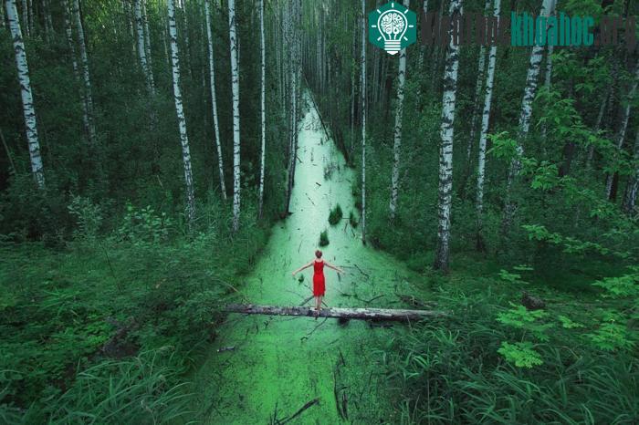 100 bức ảnh "đẹp khó tin" chưa từng qua photoshop- ảnh 22