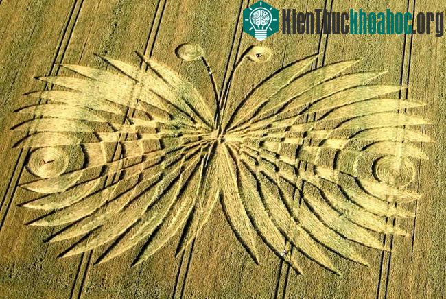 Những vòng tròn bí ẩn trên cánh đồng- ảnh 22