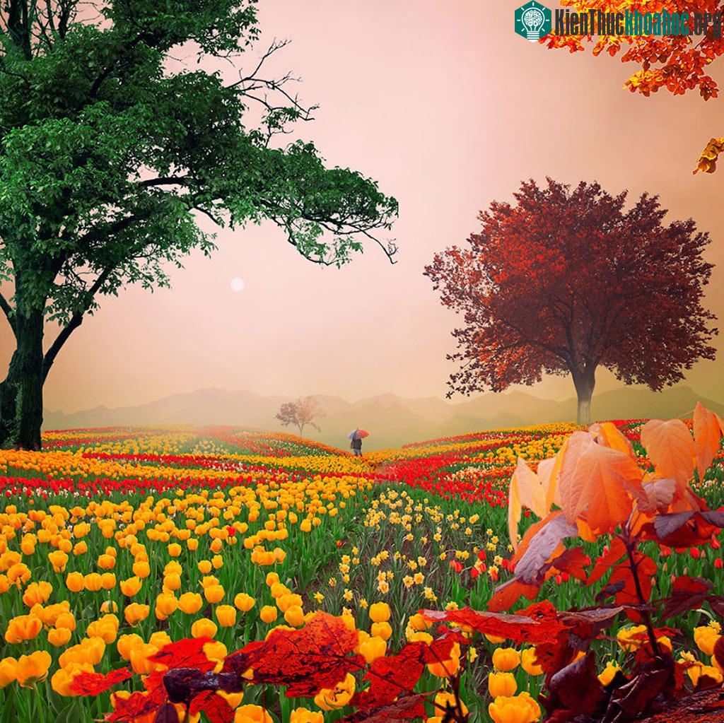 Another colorful day in my life - Một ngày rực rỡ trong tôi.