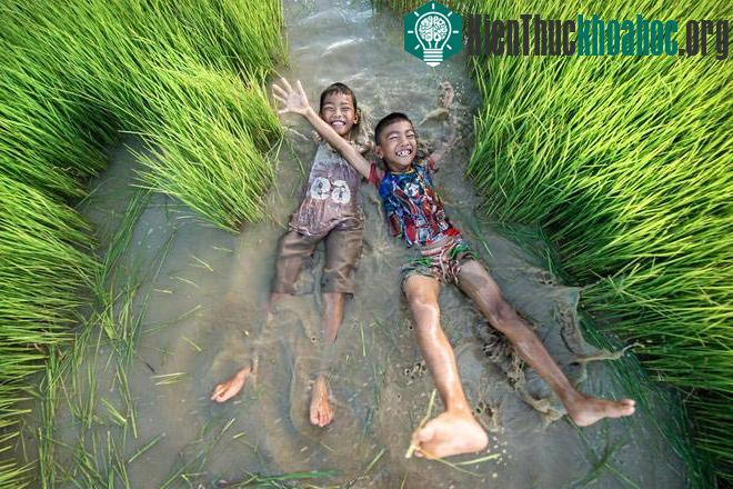 Sững sờ trước những ruộng bậc thang đẹp nhất trên khắp thế giới- ảnh 23