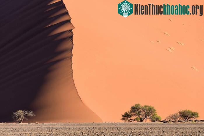 100 bức ảnh "đẹp khó tin" chưa từng qua photoshop- ảnh 24