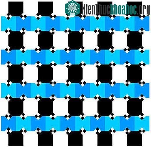 Chùm ảnh đánh lừa thị giác bảo đảm sẽ khiến bạn phải kinh ngạc- ảnh 25