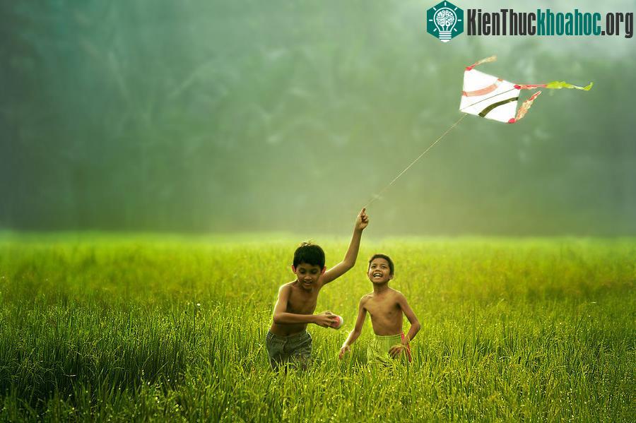 Cuộc sống yên bình nơi làng quê Việt ảnh 25