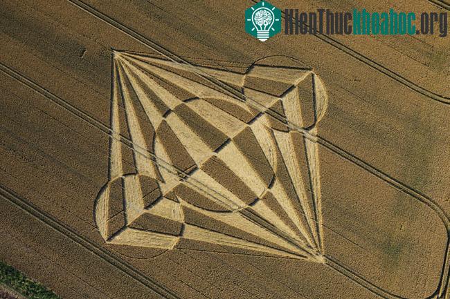 Những vòng tròn bí ẩn trên cánh đồng- ảnh 25