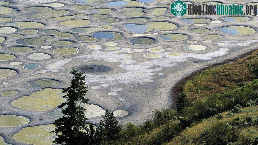 Hồ Chấm Bi (Spotted Lake) ở Canada