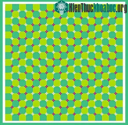 Chùm ảnh đánh lừa thị giác bảo đảm sẽ khiến bạn phải kinh ngạc- ảnh 27