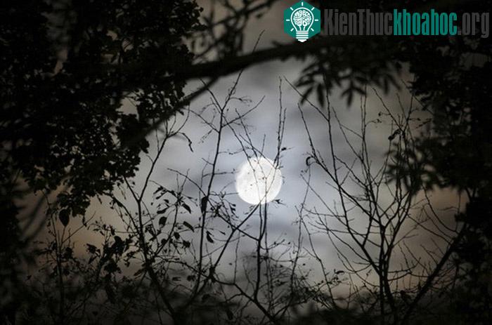 Bộ sưu tập ảnh về mặt trăng siêu đẹp ảnh 27